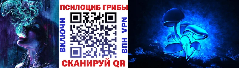 купить наркотик  Каменка  Галлюциногенные грибы Cubensis 